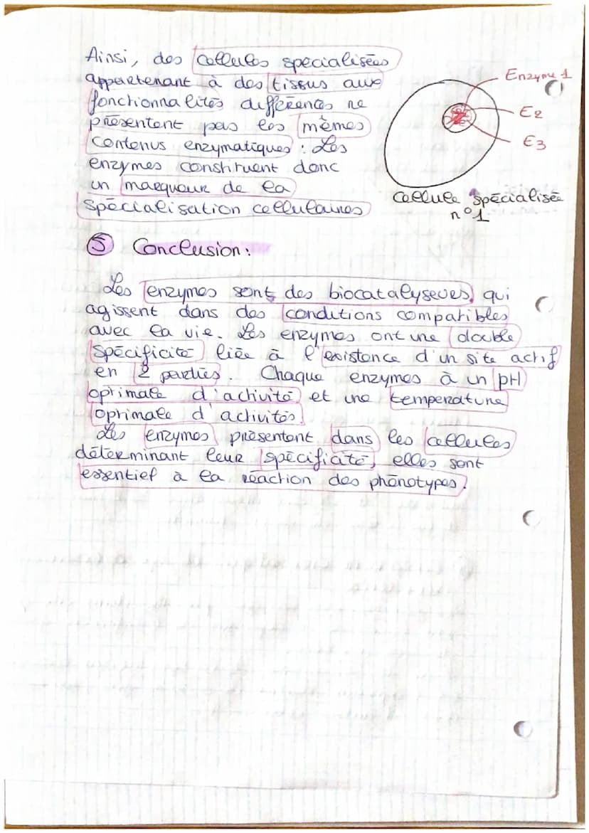 . LES ENZYMES.
déf : proteines aux properetes catalytiques.
@ Les properétés des enzymes:
L'ho
enzyme
est un catalyseur. Ce sent des.
protei