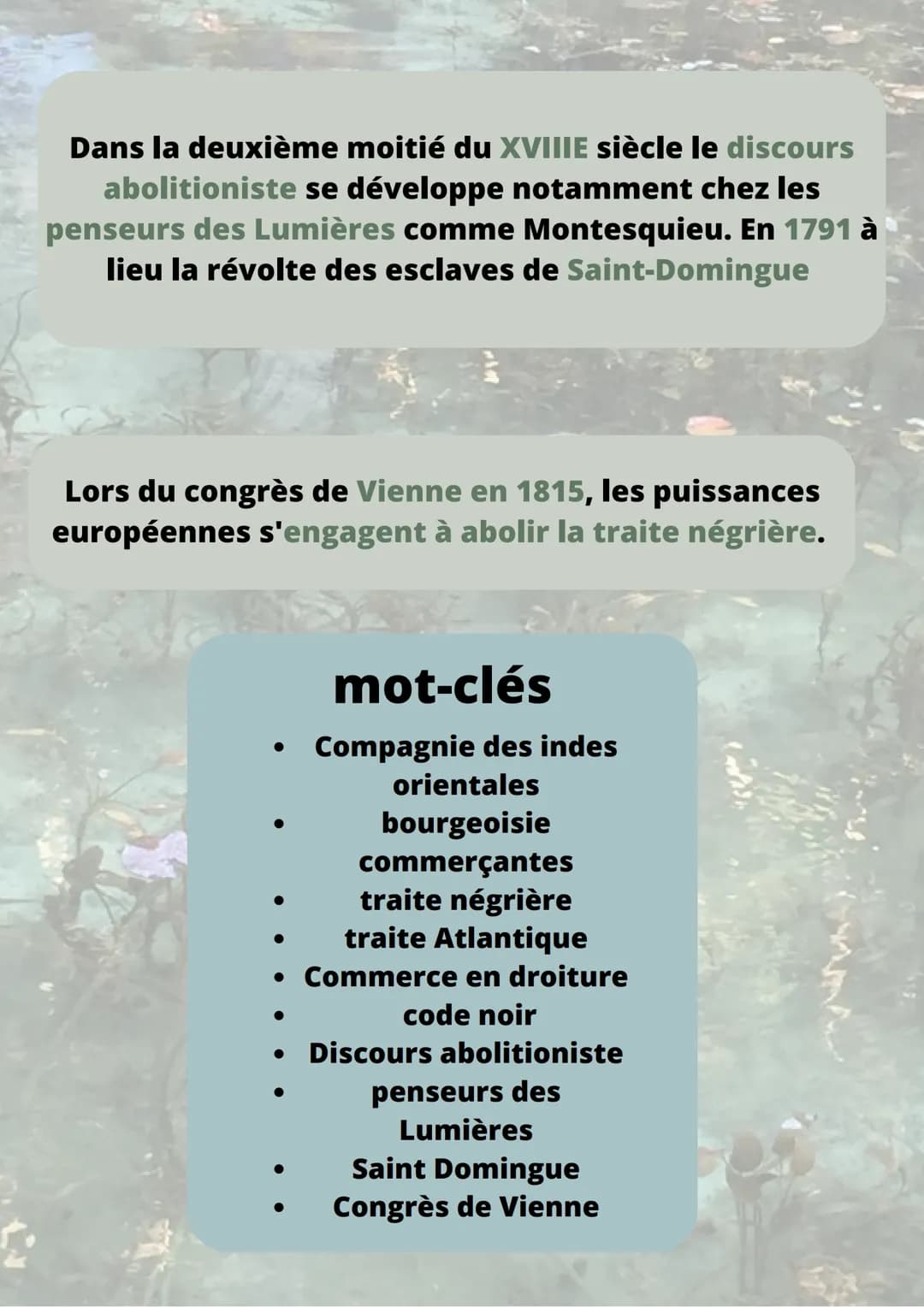 Bourgeoisie marchandes,
négoces internationaux et
traites négrière au XVIIIe
siècle 1-BOURGEOISIE MARCHANDE
AU XVIIIe siècle,
l'essentiel de