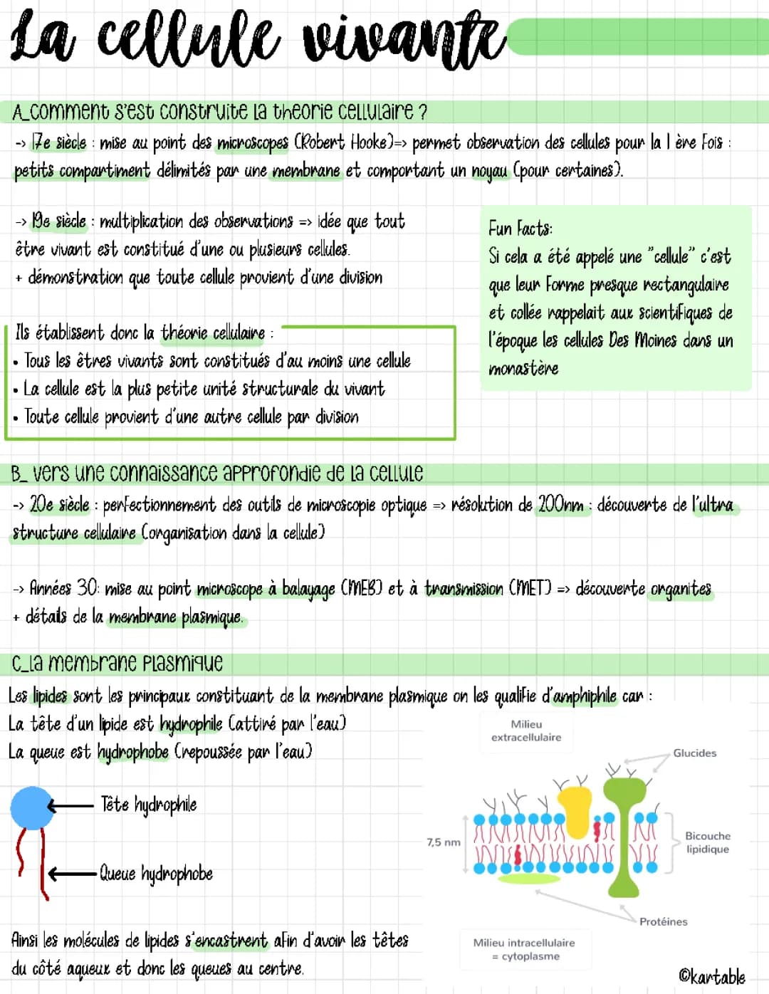 Une structure complexe : la cellule vivante
