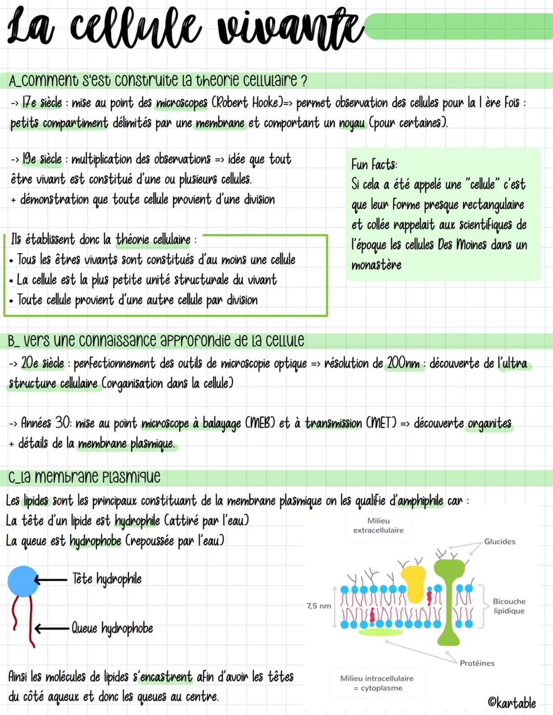 La cellule vivante
A_Comment s'est construite la theorie cellulaire ?
->
· 17e siècle : mise au point des microscopes (Robert Hooke)=> perme