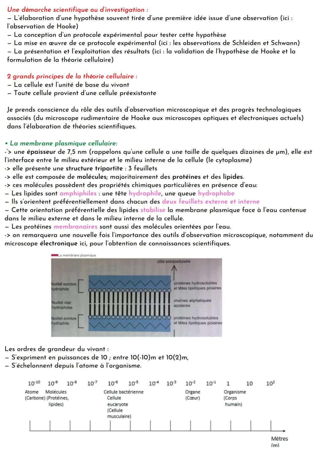 Une cellule est observable au microscope optique. Son ultrastructure, c'est-à-dire son organisation
interne et notamment ses organites, est 