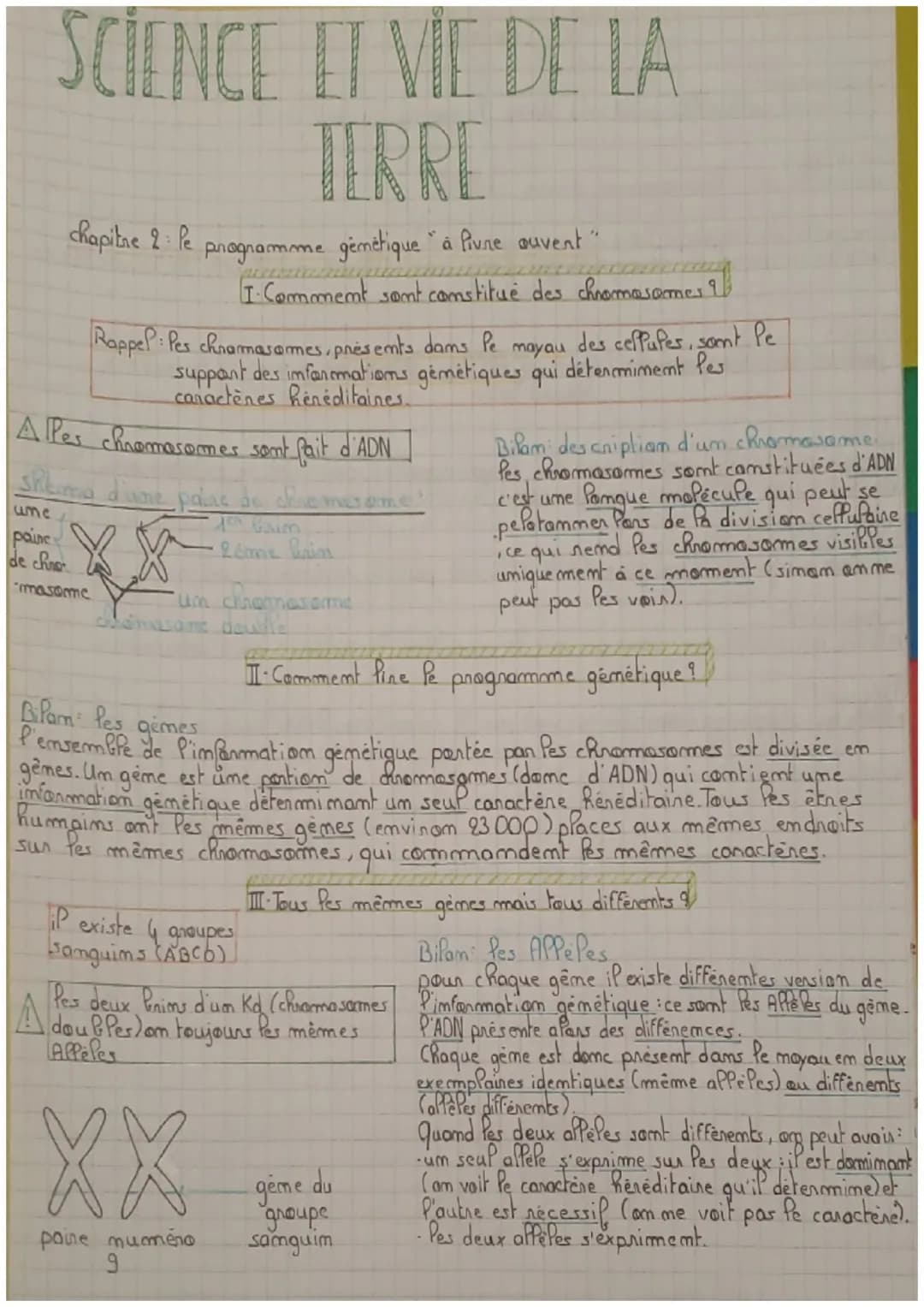 SCIENCE ET VIE DE LA
TERRE
chapitre 2: le programme génétique "à Piune auvent"
masome
Rappel: Pes chromosomes, présents dans le mayau des ce