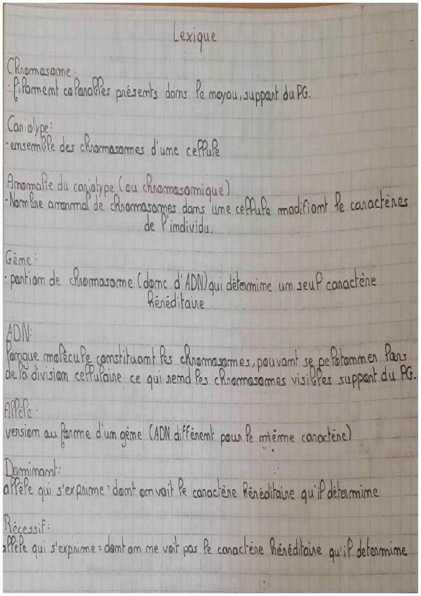 SCIENCE ET VIE DE LA
TERRE
chapitre 2: le programme génétique "à Piune auvent"
masome
Rappel: Pes chromosomes, présents dans le mayau des ce