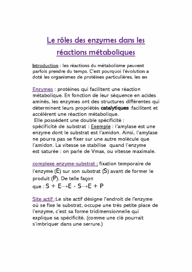 Know les enzymes chapitre 5 thumbnail