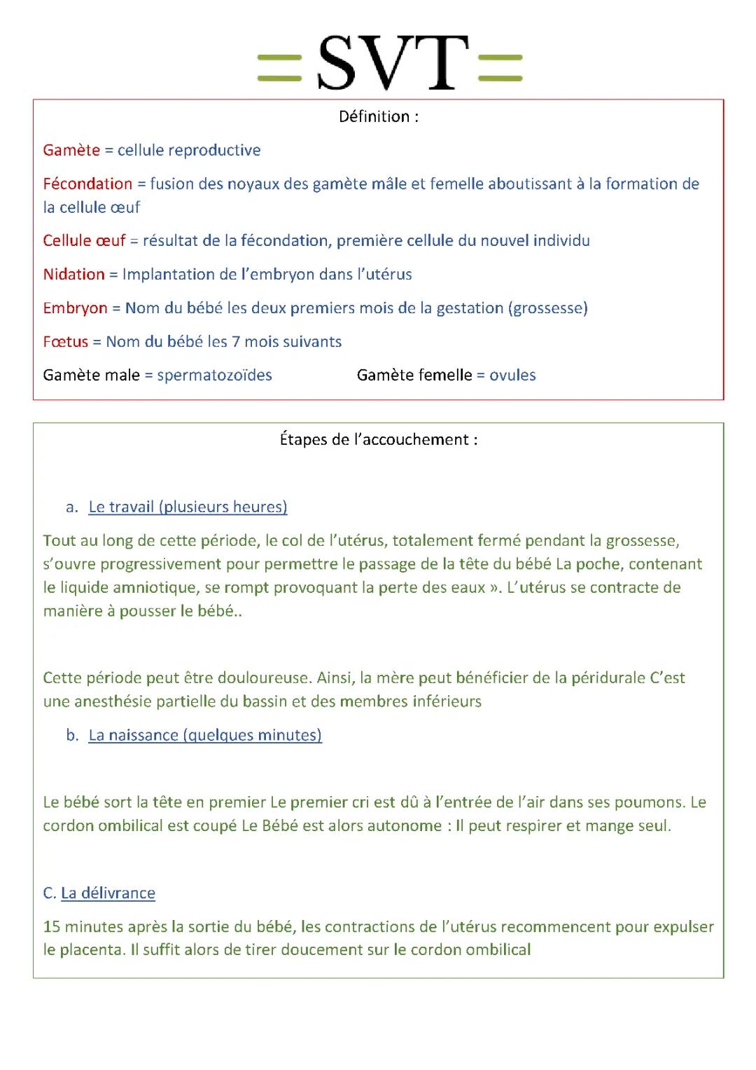 Les 5 étapes de l'accouchement et les trois phases en images