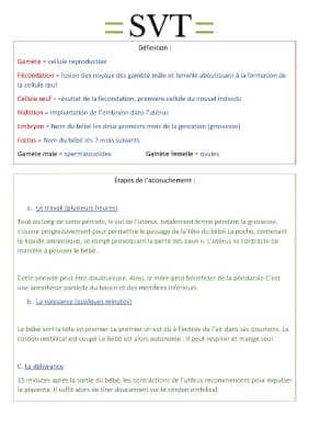 Know SVT : L'accouchement thumbnail