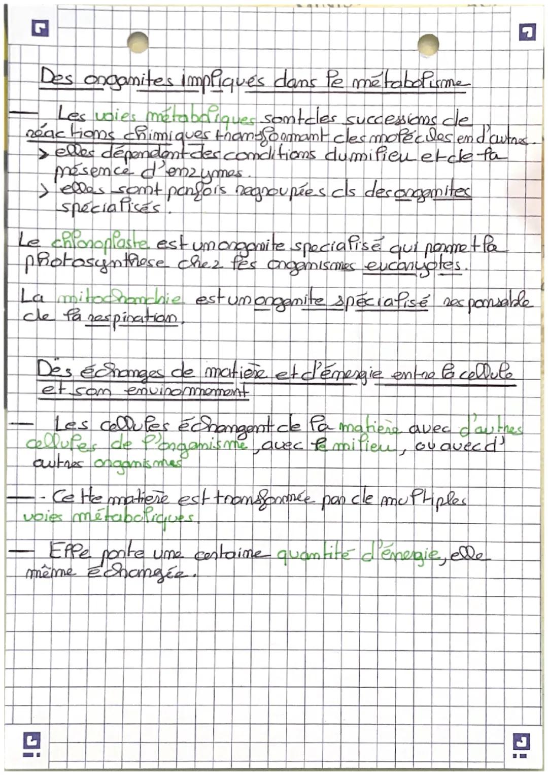 Une cellule pionophufienme exposée à la fumiera
empresence d'eau et de dioxyde decanbome be offse
sciences.
le metabolisome
Des Fromsformati
