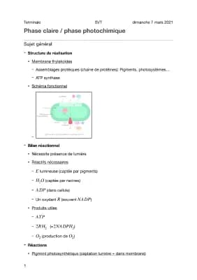 Know Cours 2.1 - Phase claire photosynthèse thumbnail