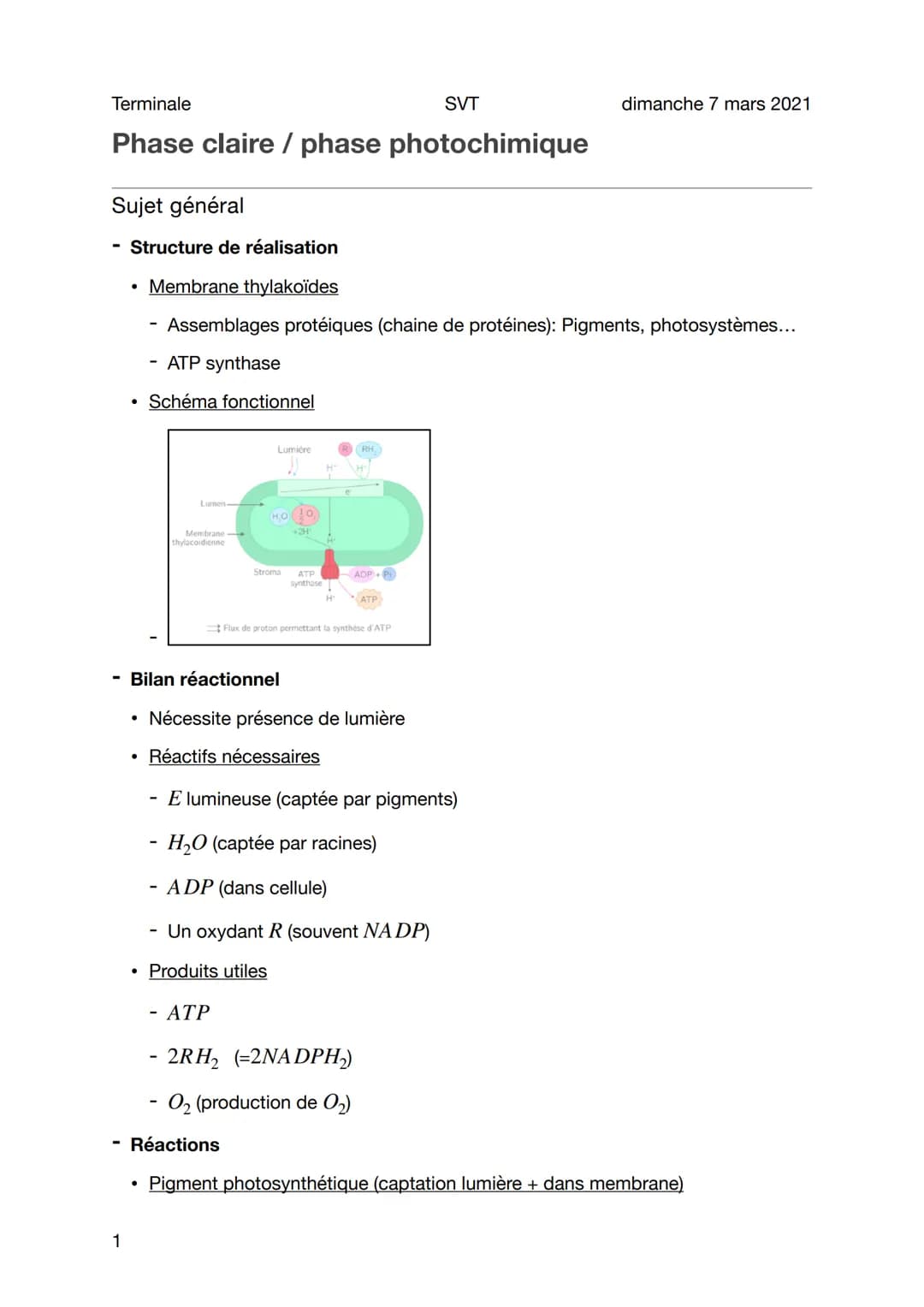
<p>La photosynthèse est un processus vital pour les plantes, comprenant deux phases distinctes : la phase claire et la phase sombre. Nous a