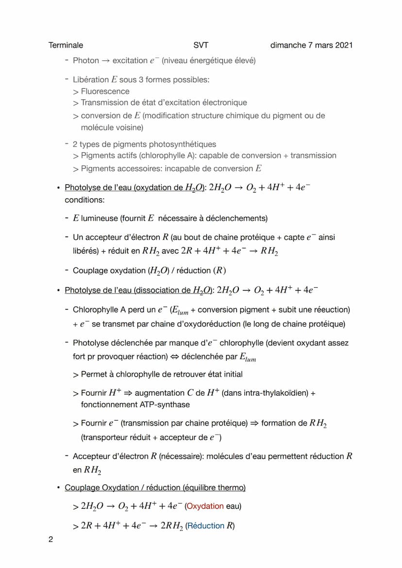 
<p>La photosynthèse est un processus vital pour les plantes, comprenant deux phases distinctes : la phase claire et la phase sombre. Nous a