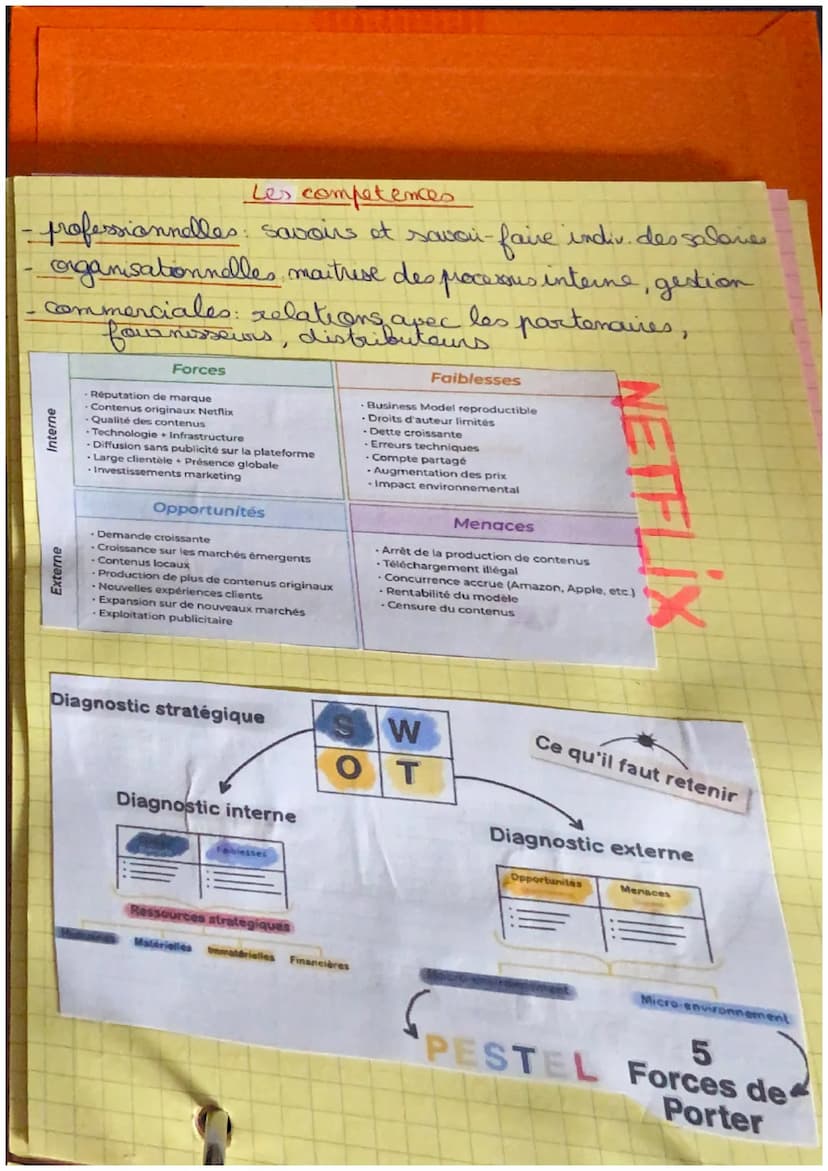 -
KINEZA
-
NY
Management FFOM
Diagnostic interne
Diagnostic externe
FORCES FAIBLESSES OPPORTUNITES MENACES
ressources compétences
micro & PE