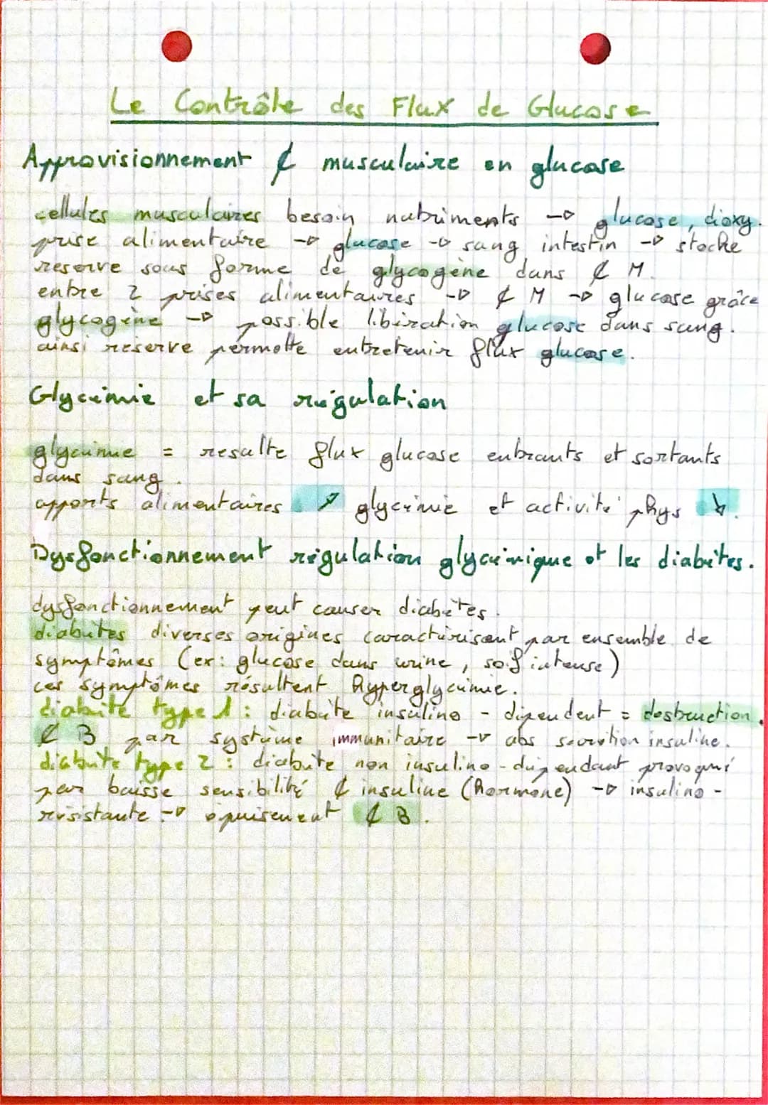 • SVT
Le Fonctionnement des Ceppupes Musculaires
MUSCLE: mbx musculaires regroupés em faisceaux musculaires
-> racourcissement + épaississem