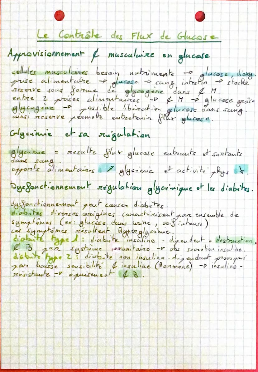 • SVT
Le Fonctionnement des Ceppupes Musculaires
MUSCLE: mbx musculaires regroupés em faisceaux musculaires
-> racourcissement + épaississem