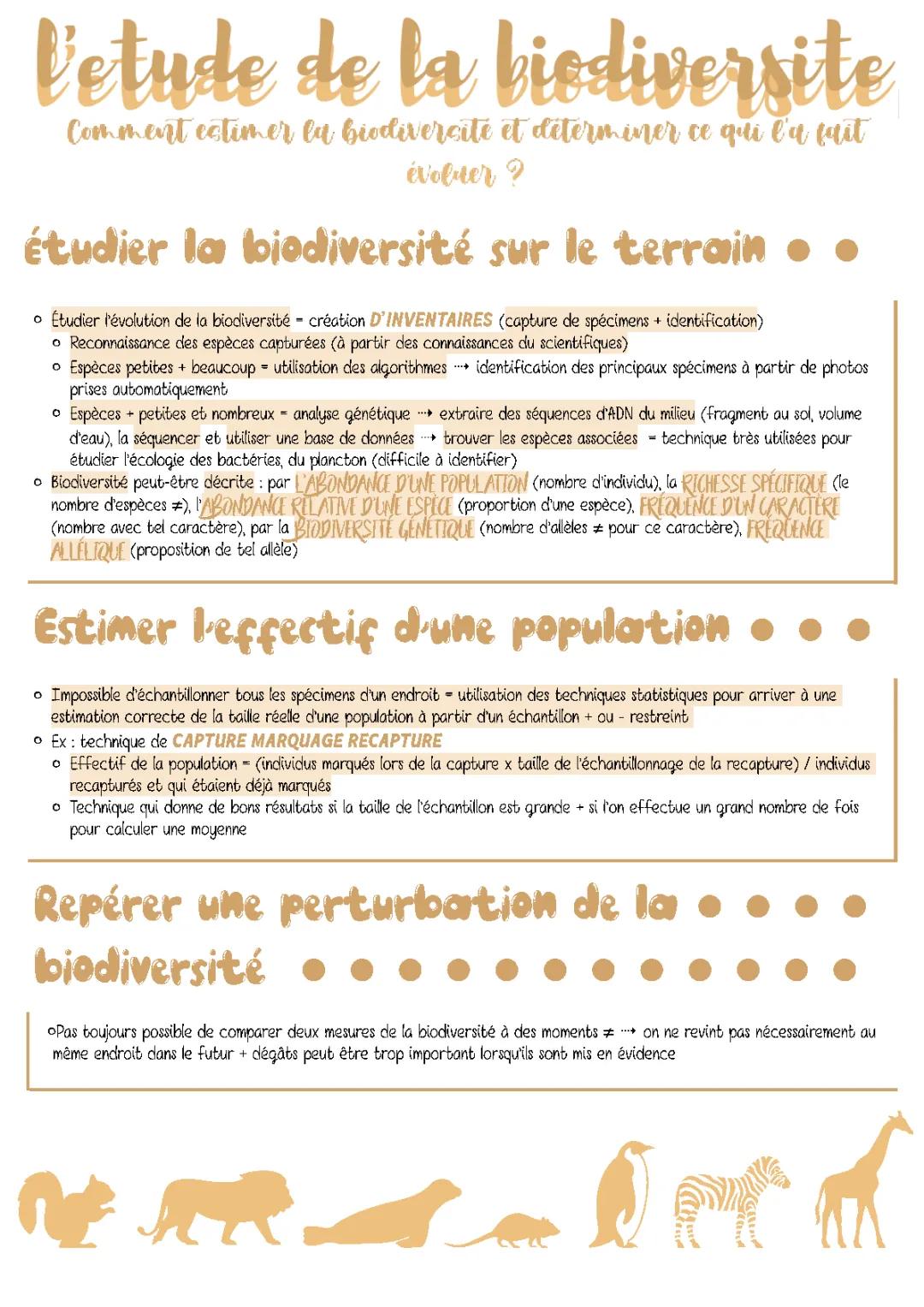 Étonnantes découvertes : biodiversité, méthodes d'échantillonnage et Hardy-Weinberg