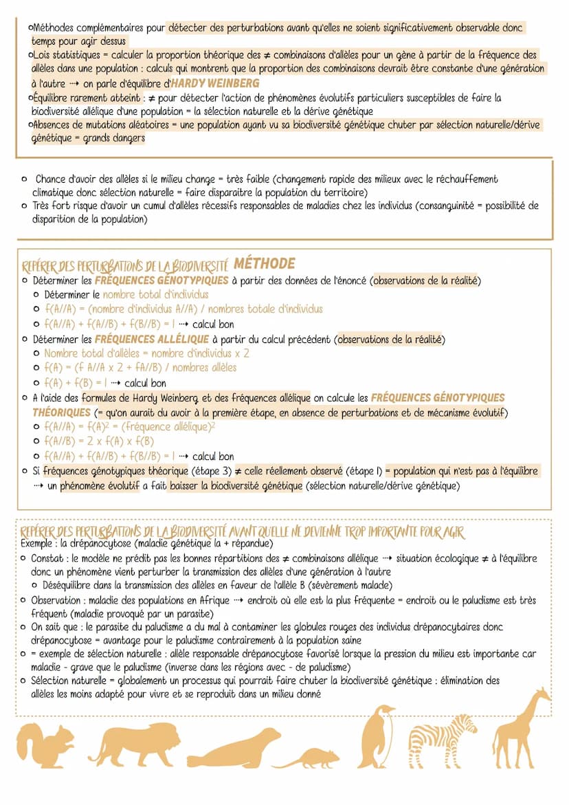 l'etude de la biodiversite
Comment estimer la biodiversité et déterminer ce qui l'a fait
évoluer ?
étudier la biodiversité sur le terrain ● 