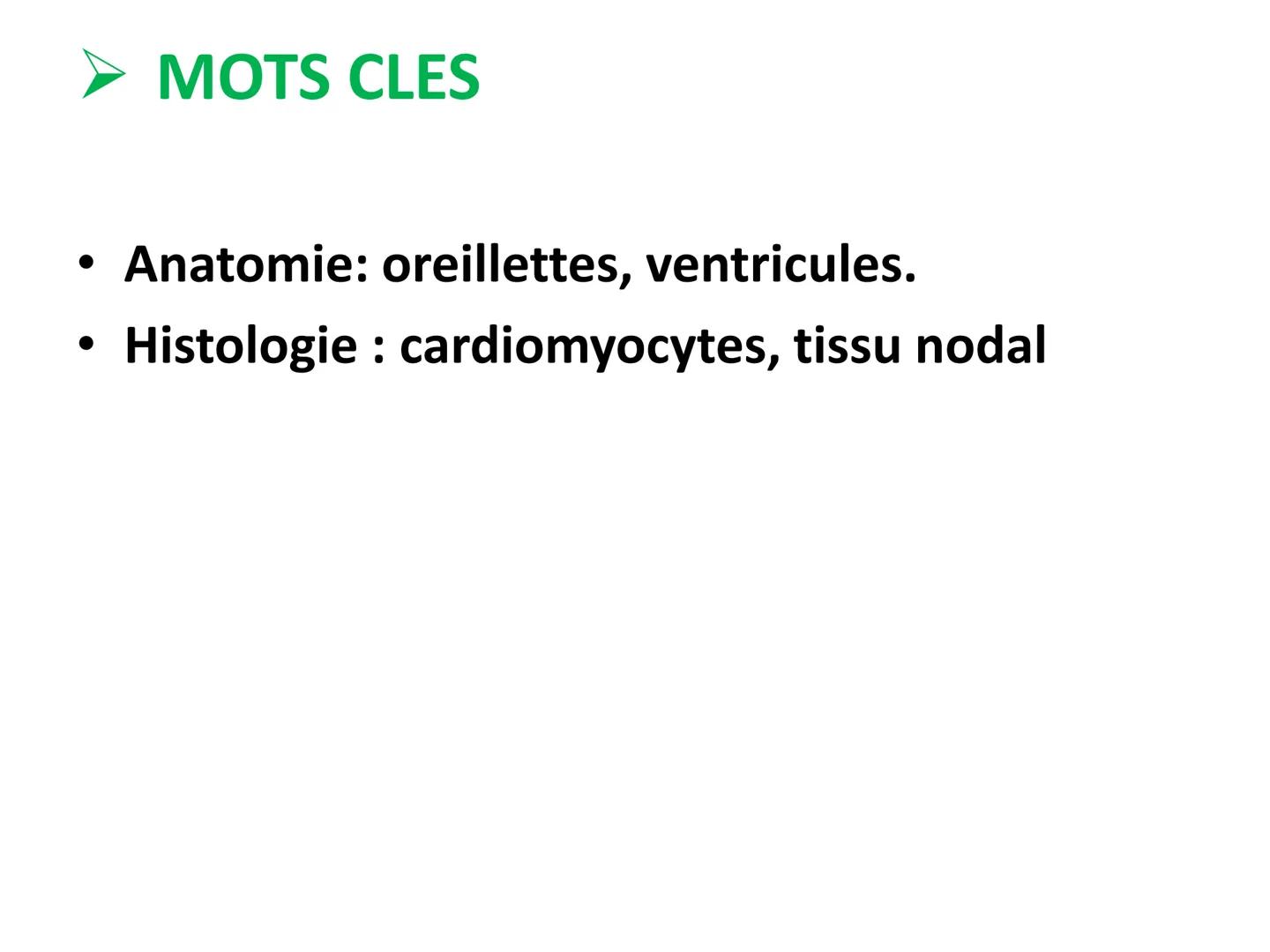 LE CŒUR ET LA CIRCULATION SANGUINE
CHAPITRE I: ORGANISATION GENERALE DU
SYSTEME CARDIO-VASCULAIRE
CHAPITRE II : FONCTIONNEMENT DU CŒUR.
CHAP