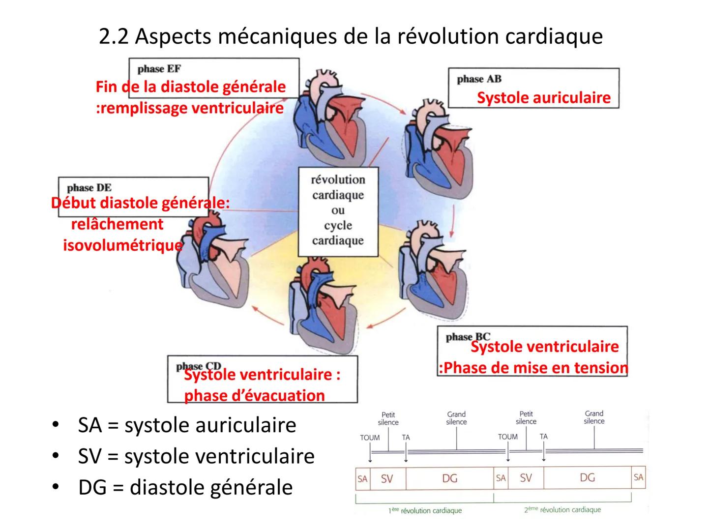 LE CŒUR ET LA CIRCULATION SANGUINE
CHAPITRE I: ORGANISATION GENERALE DU
SYSTEME CARDIO-VASCULAIRE
CHAPITRE II : FONCTIONNEMENT DU CŒUR.
CHAP