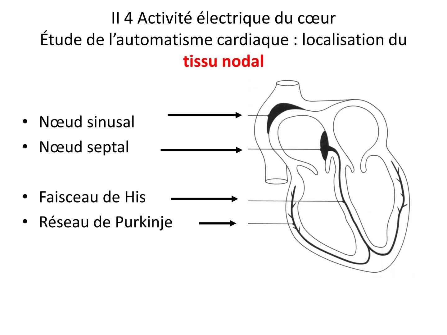 LE CŒUR ET LA CIRCULATION SANGUINE
CHAPITRE I: ORGANISATION GENERALE DU
SYSTEME CARDIO-VASCULAIRE
CHAPITRE II : FONCTIONNEMENT DU CŒUR.
CHAP