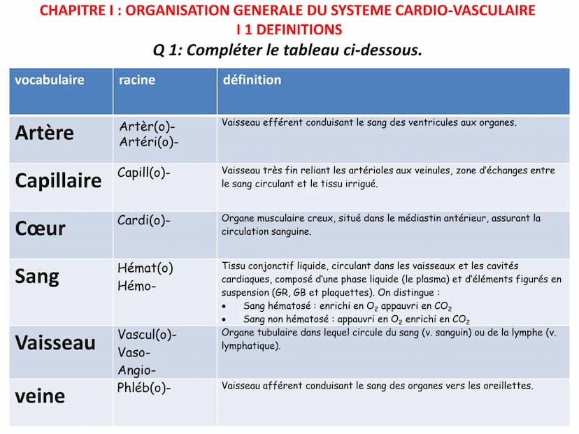 LE CŒUR ET LA CIRCULATION SANGUINE
CHAPITRE I: ORGANISATION GENERALE DU
SYSTEME CARDIO-VASCULAIRE
CHAPITRE II : FONCTIONNEMENT DU CŒUR.
CHAP