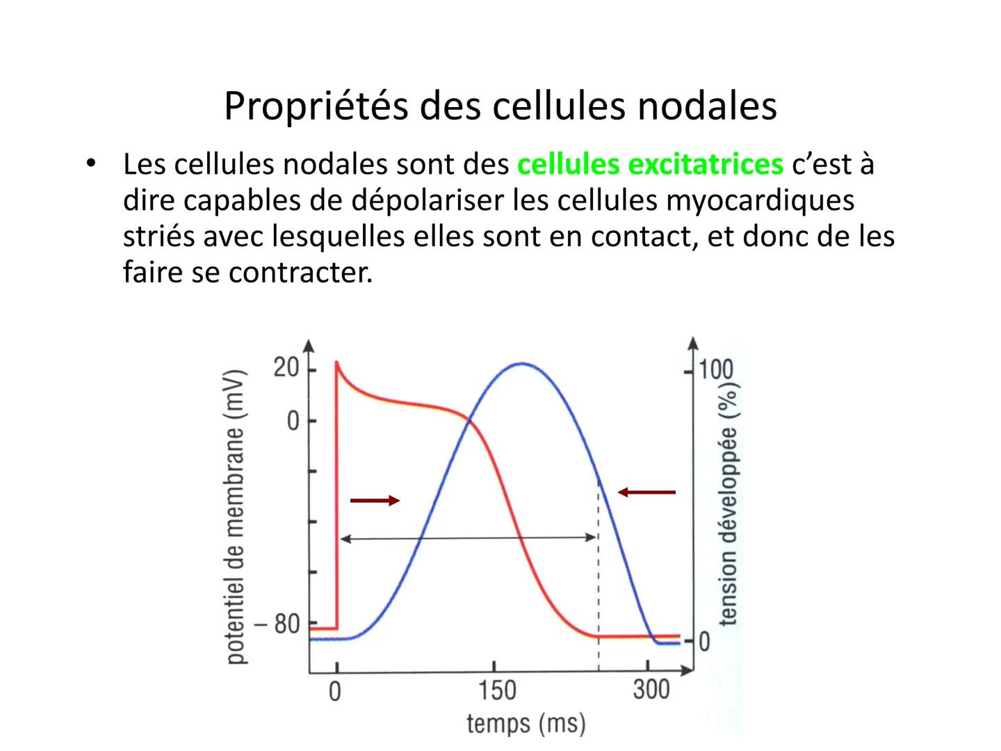 LE CŒUR ET LA CIRCULATION SANGUINE
CHAPITRE I: ORGANISATION GENERALE DU
SYSTEME CARDIO-VASCULAIRE
CHAPITRE II : FONCTIONNEMENT DU CŒUR.
CHAP