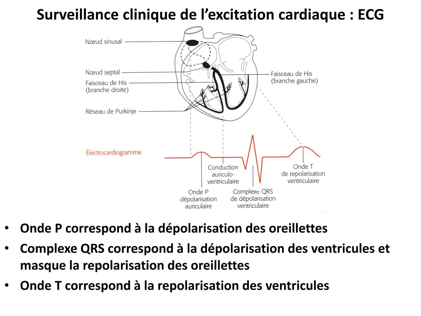 LE CŒUR ET LA CIRCULATION SANGUINE
CHAPITRE I: ORGANISATION GENERALE DU
SYSTEME CARDIO-VASCULAIRE
CHAPITRE II : FONCTIONNEMENT DU CŒUR.
CHAP