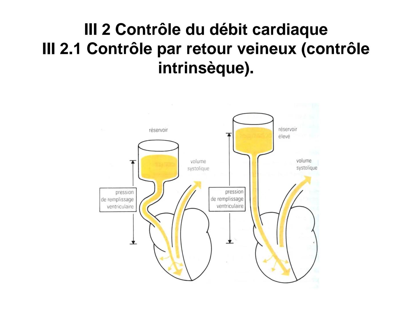 LE CŒUR ET LA CIRCULATION SANGUINE
CHAPITRE I: ORGANISATION GENERALE DU
SYSTEME CARDIO-VASCULAIRE
CHAPITRE II : FONCTIONNEMENT DU CŒUR.
CHAP