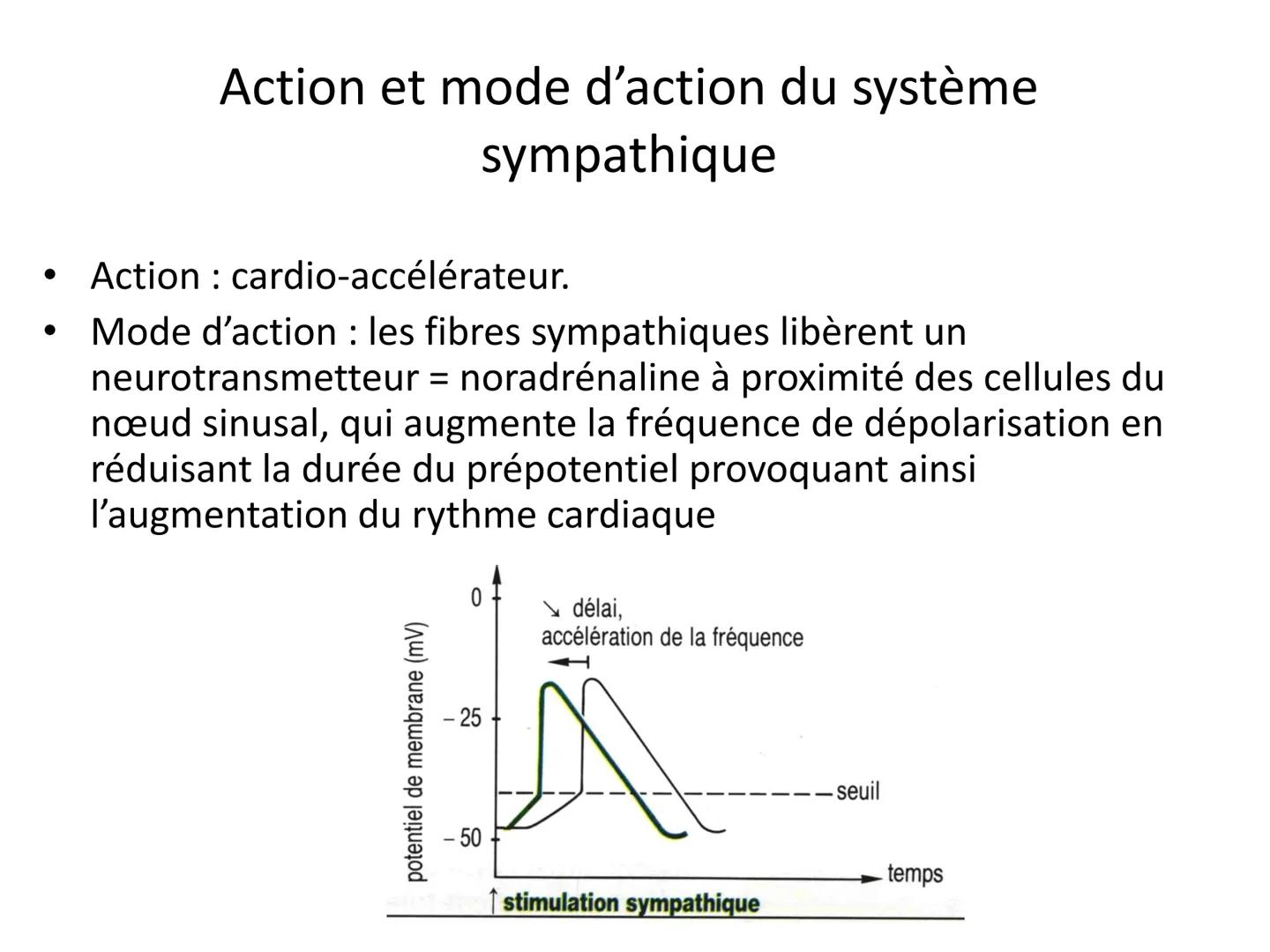 LE CŒUR ET LA CIRCULATION SANGUINE
CHAPITRE I: ORGANISATION GENERALE DU
SYSTEME CARDIO-VASCULAIRE
CHAPITRE II : FONCTIONNEMENT DU CŒUR.
CHAP