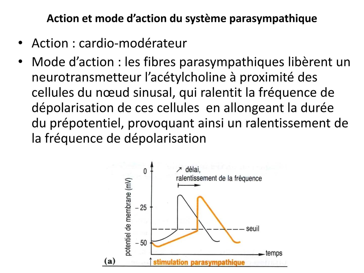 LE CŒUR ET LA CIRCULATION SANGUINE
CHAPITRE I: ORGANISATION GENERALE DU
SYSTEME CARDIO-VASCULAIRE
CHAPITRE II : FONCTIONNEMENT DU CŒUR.
CHAP