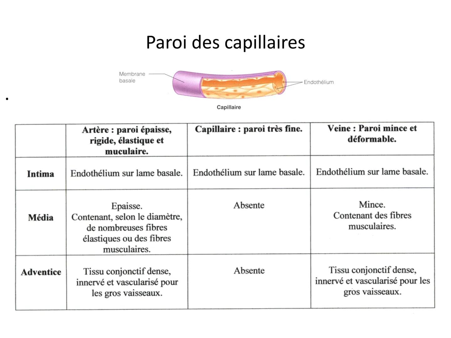 LE CŒUR ET LA CIRCULATION SANGUINE
CHAPITRE I: ORGANISATION GENERALE DU
SYSTEME CARDIO-VASCULAIRE
CHAPITRE II : FONCTIONNEMENT DU CŒUR.
CHAP