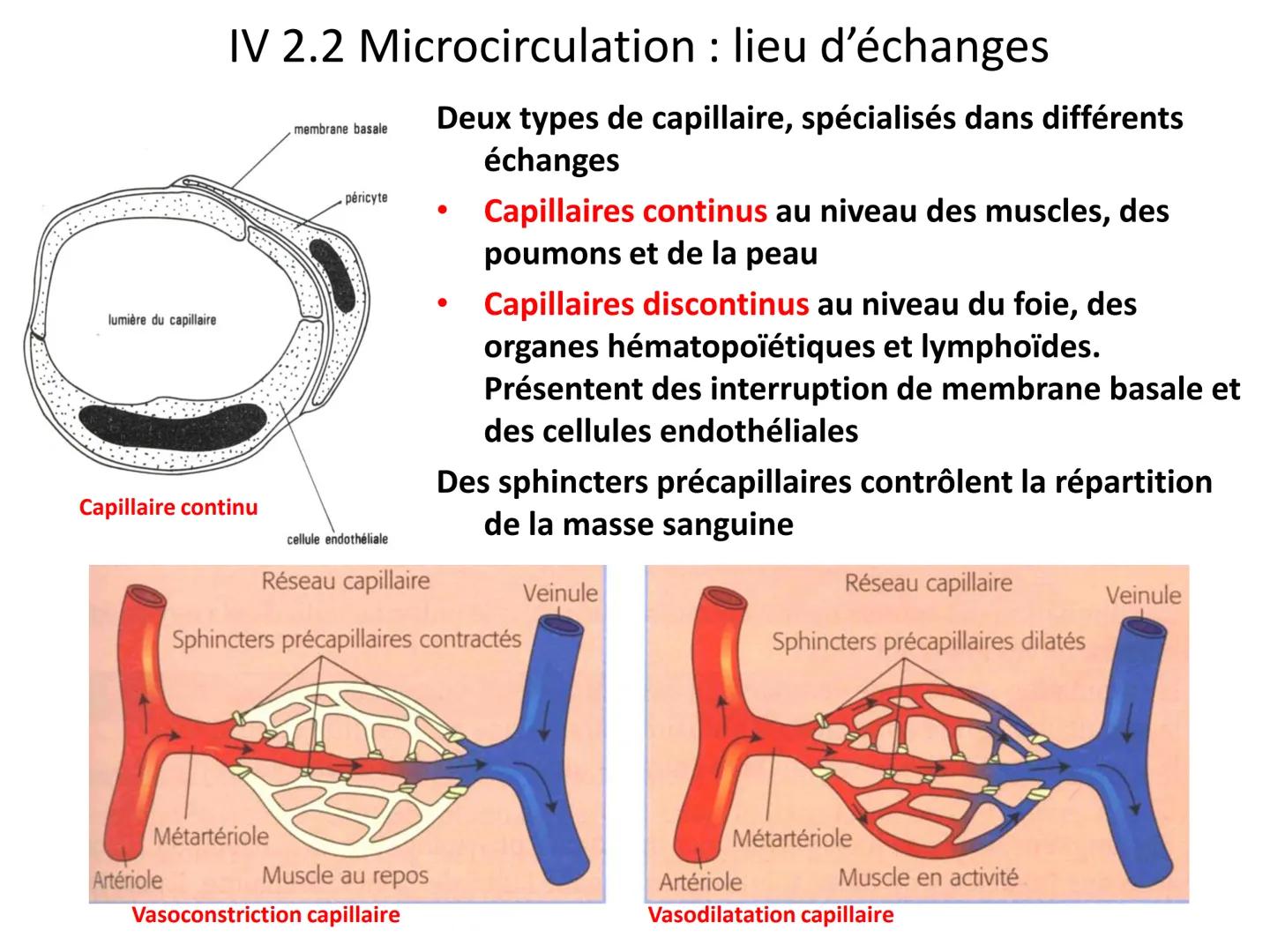 LE CŒUR ET LA CIRCULATION SANGUINE
CHAPITRE I: ORGANISATION GENERALE DU
SYSTEME CARDIO-VASCULAIRE
CHAPITRE II : FONCTIONNEMENT DU CŒUR.
CHAP