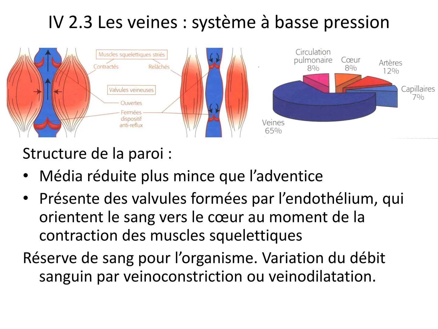 LE CŒUR ET LA CIRCULATION SANGUINE
CHAPITRE I: ORGANISATION GENERALE DU
SYSTEME CARDIO-VASCULAIRE
CHAPITRE II : FONCTIONNEMENT DU CŒUR.
CHAP