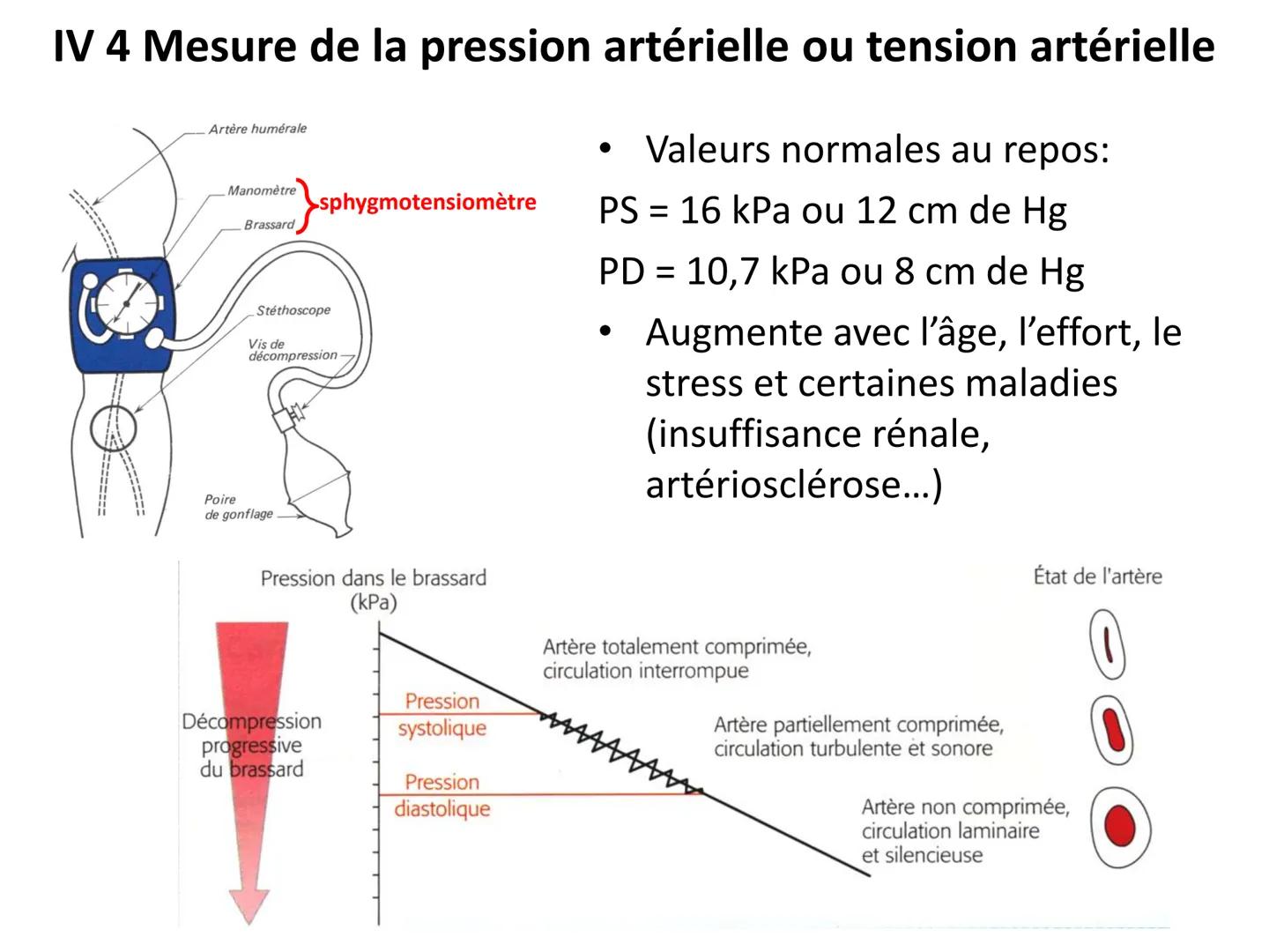 LE CŒUR ET LA CIRCULATION SANGUINE
CHAPITRE I: ORGANISATION GENERALE DU
SYSTEME CARDIO-VASCULAIRE
CHAPITRE II : FONCTIONNEMENT DU CŒUR.
CHAP