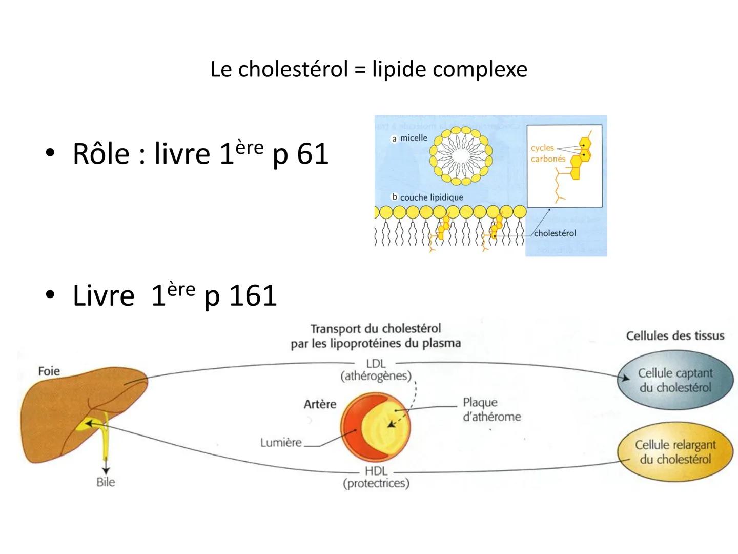 LE CŒUR ET LA CIRCULATION SANGUINE
CHAPITRE I: ORGANISATION GENERALE DU
SYSTEME CARDIO-VASCULAIRE
CHAPITRE II : FONCTIONNEMENT DU CŒUR.
CHAP