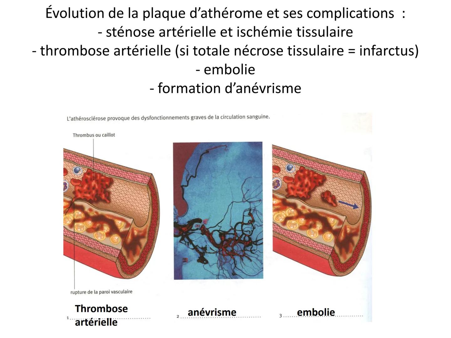 LE CŒUR ET LA CIRCULATION SANGUINE
CHAPITRE I: ORGANISATION GENERALE DU
SYSTEME CARDIO-VASCULAIRE
CHAPITRE II : FONCTIONNEMENT DU CŒUR.
CHAP