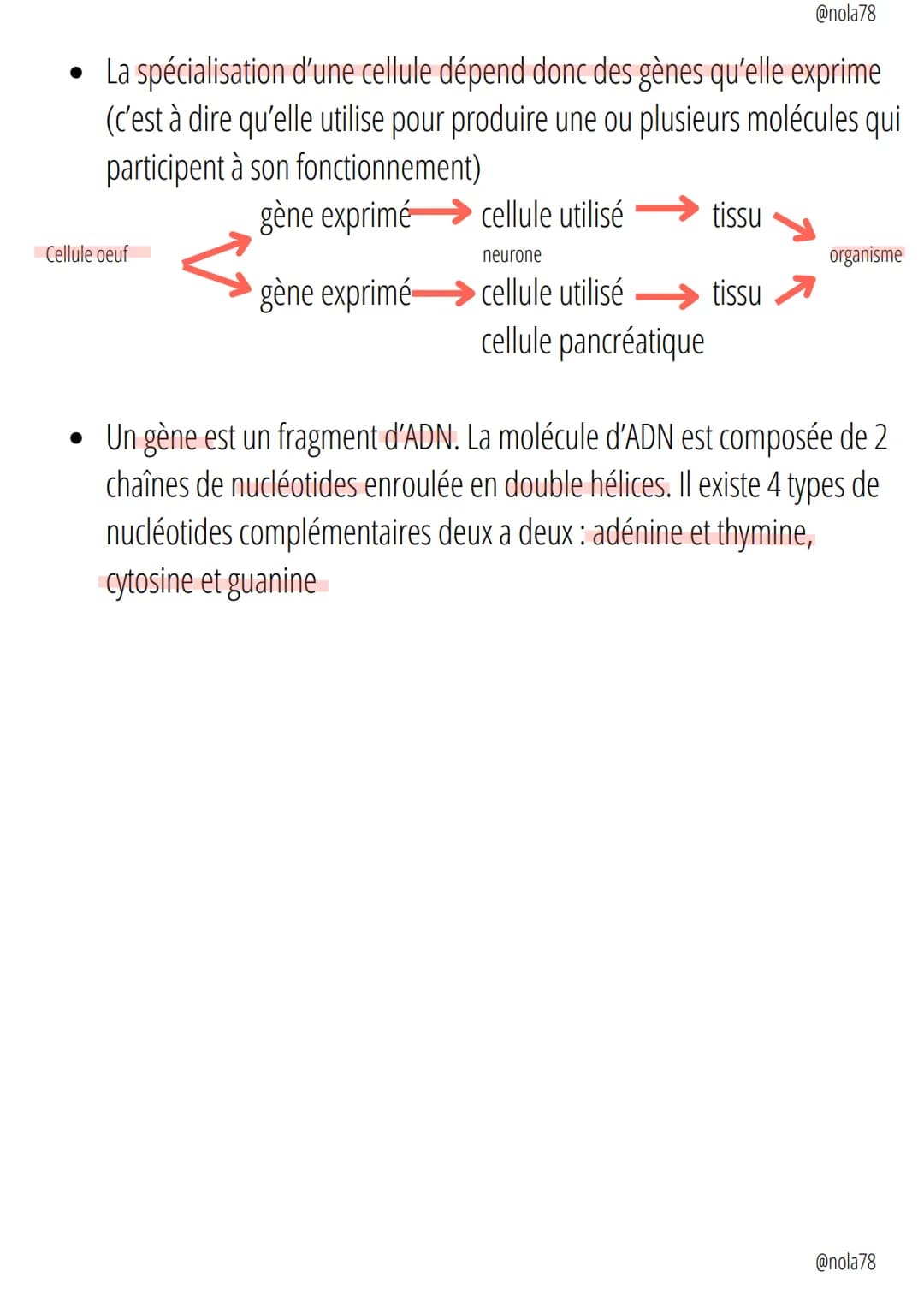 Science
@nola78
Des êtres-vivants unicellulaires
Un organisme vivant unicellulaire réalise différentes fonctions aux
différents organites qu