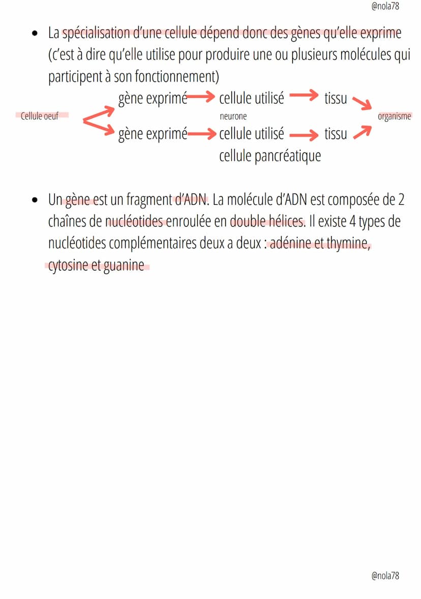 Science
@nola78
Des êtres-vivants unicellulaires
Un organisme vivant unicellulaire réalise différentes fonctions aux
différents organites qu
