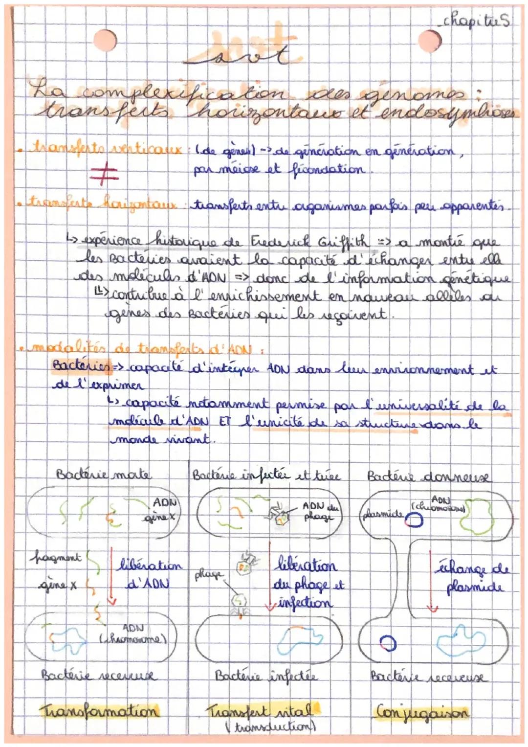 La complexification des génomes : transferts horizontaux et endosymbioses