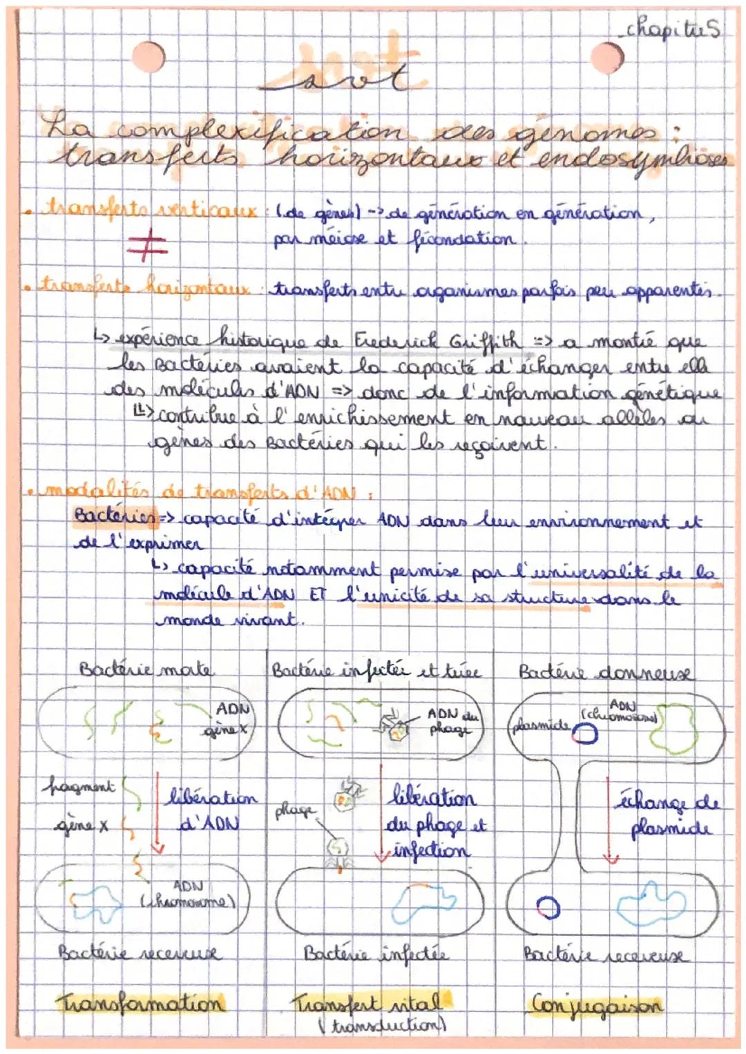 La complexification des genomes:
transferts horizontaux et endosymbiose
transferts verticaux (de gènes)-> de génération en génération,
por m