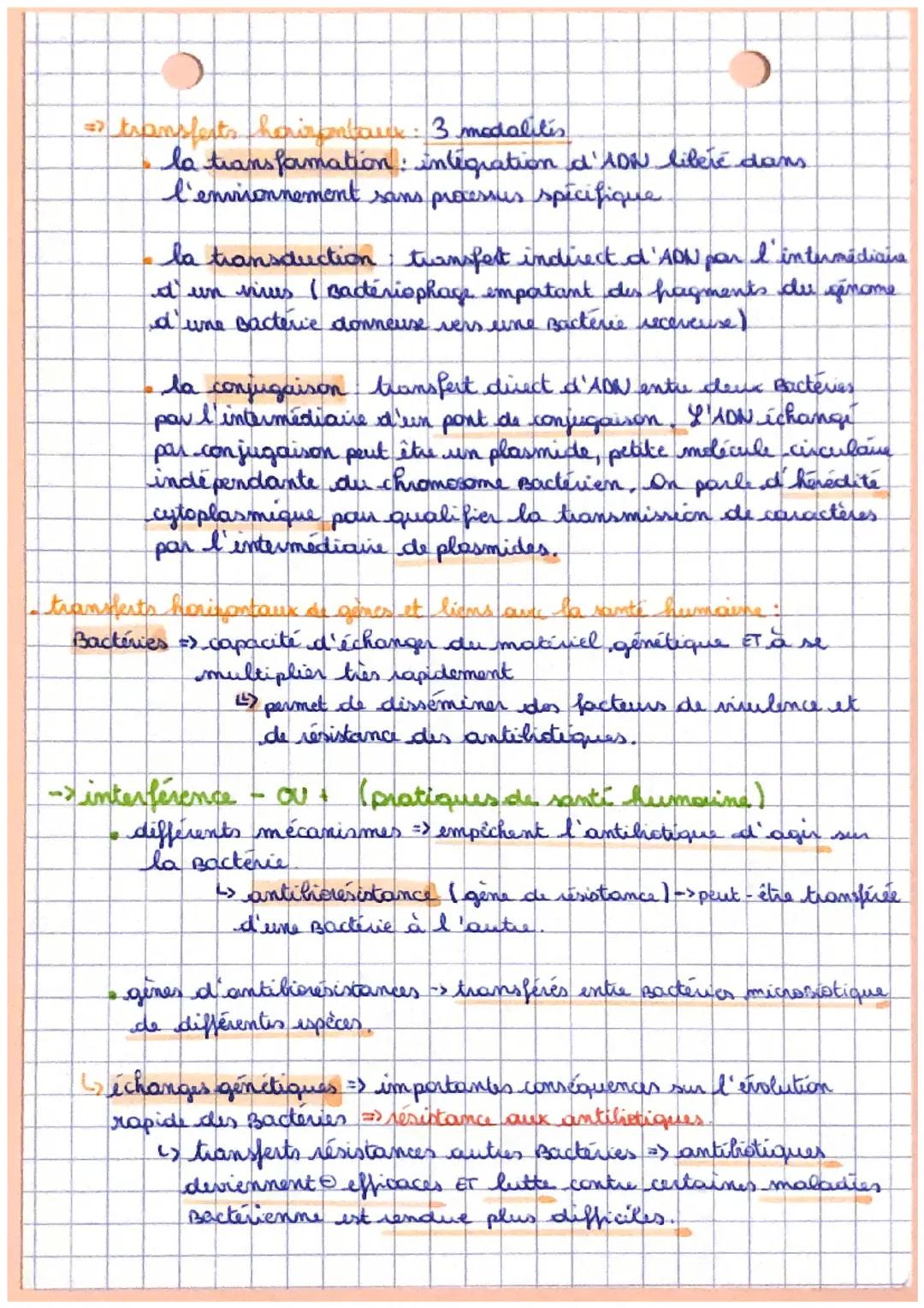 La complexification des genomes:
transferts horizontaux et endosymbiose
transferts verticaux (de gènes)-> de génération en génération,
por m