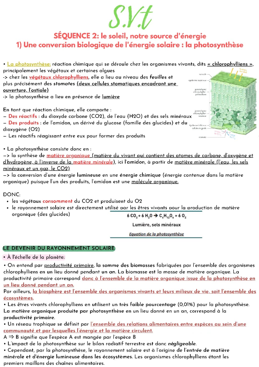 Comprendre la Photosynthèse: Cours et PDF, Schémas, Explications Simples et Exercices
