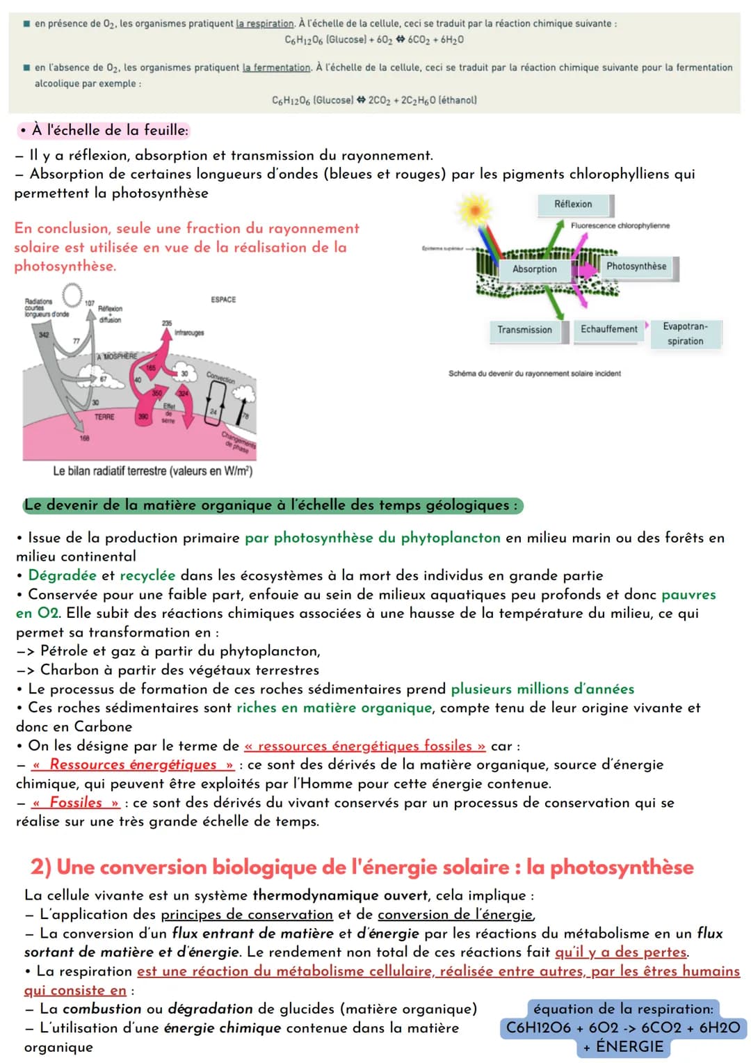 • La photosynthèse: réaction chimique qui se déroule chez les organismes vivants, dits « chlorophylliens »,
principalement les végétaux et c