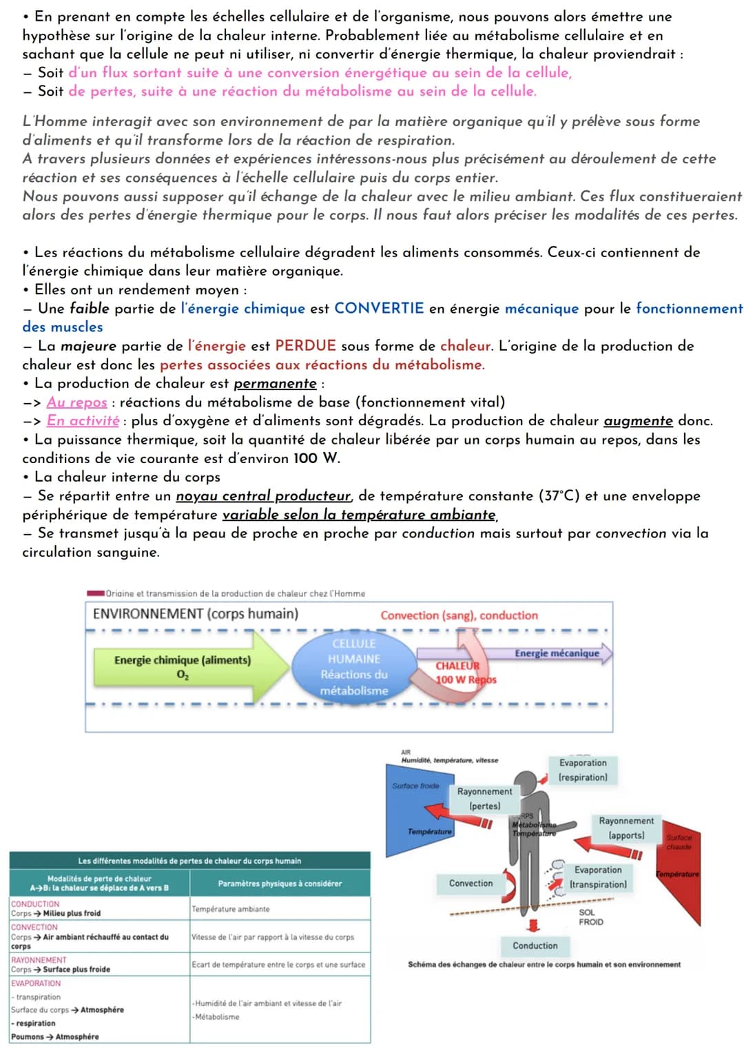 • La photosynthèse: réaction chimique qui se déroule chez les organismes vivants, dits « chlorophylliens »,
principalement les végétaux et c