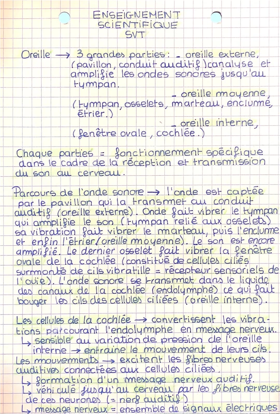 C
ENSEIGNEMENT
SCIENTIFIQUE
SVT
C
Oreille 3 grandes parties: oreille externe,
(pavillon, conduit auditif canalyse et
amplifie les ondes sono