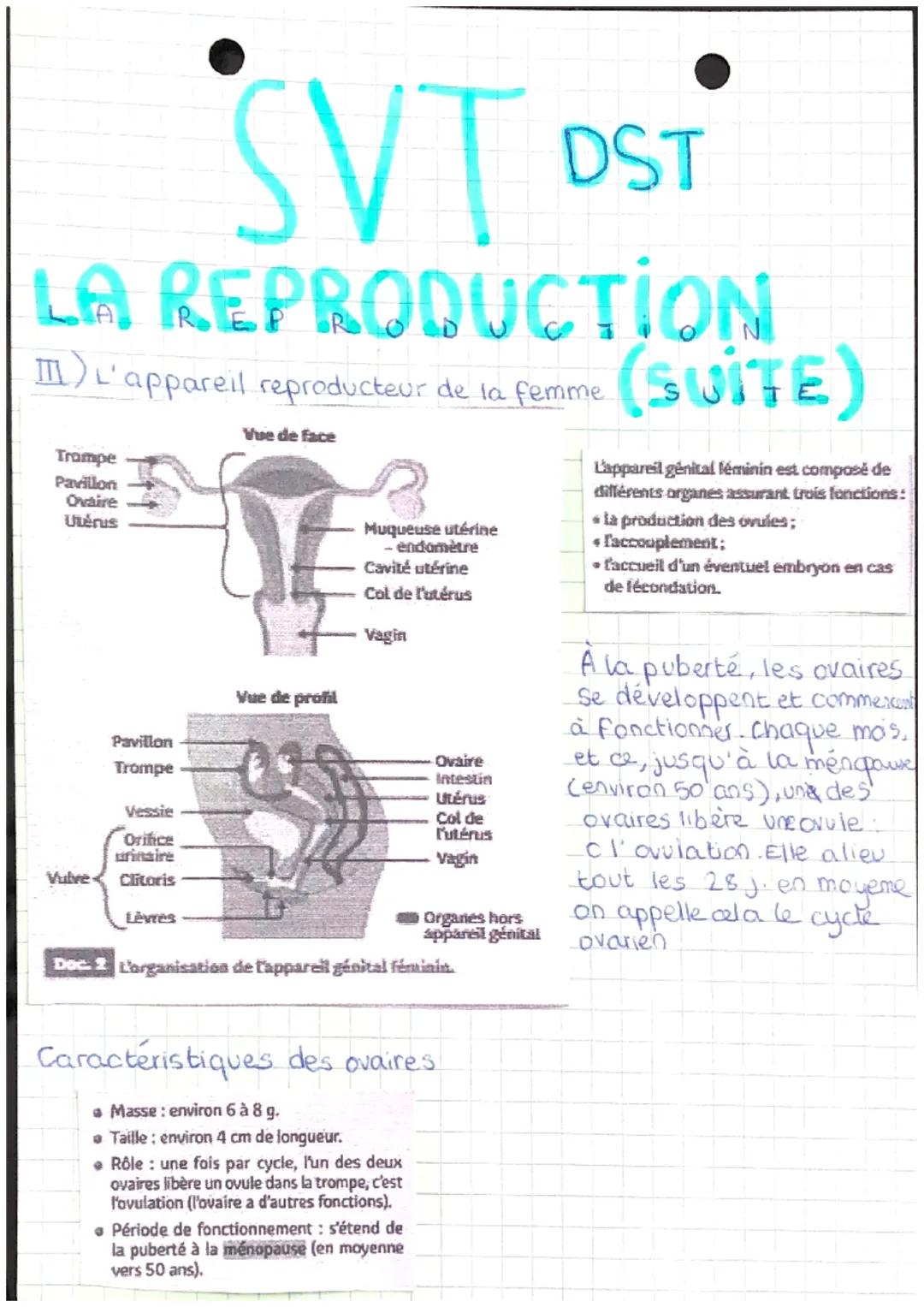 LA
REPROD
U
DST
CTION
I. De la naissance alla puberté : le passage de l'enfance à
L'âge aduite
En quoi un garçon et une fille sont-ils diffe