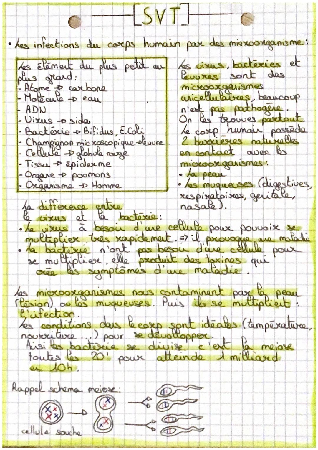 - [SVT]
- hes infections du corps humain par des miexoorganisme:
Les élément du plus petit au les vixers, bactéries et
plus grand:
- Atome c