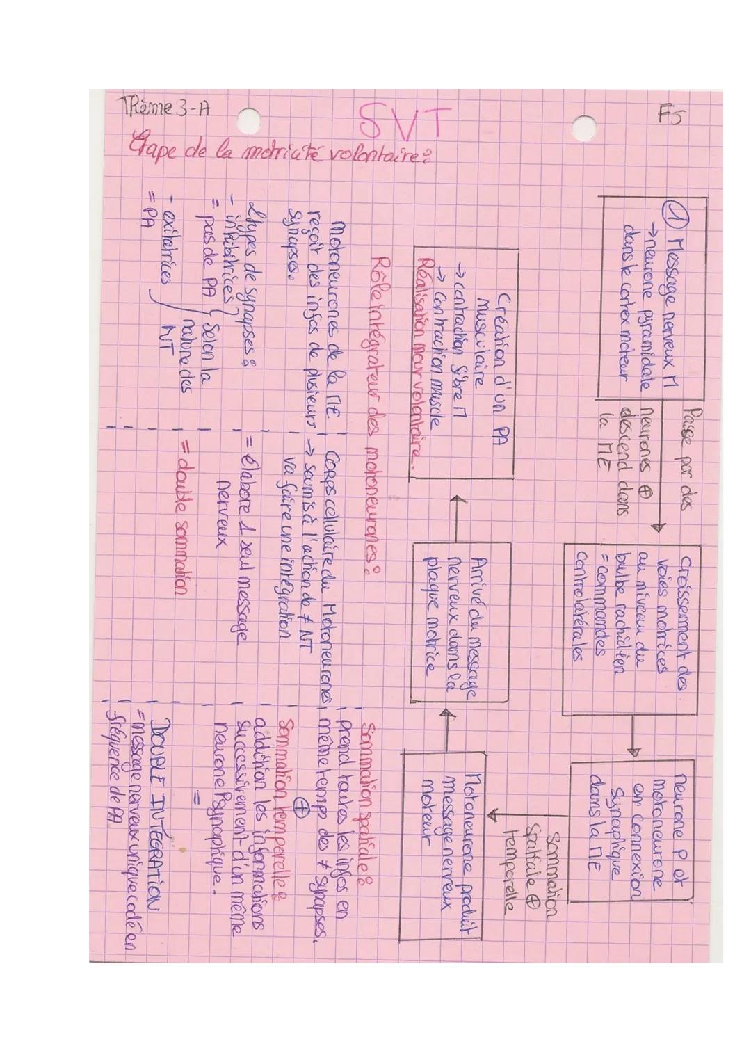 Thème B-A

SVT

Xe Cerveau

Mouvement volontaires nécessite l'intervention du cerveau.

Composition:

- Rémisphères surface avee circonvolut