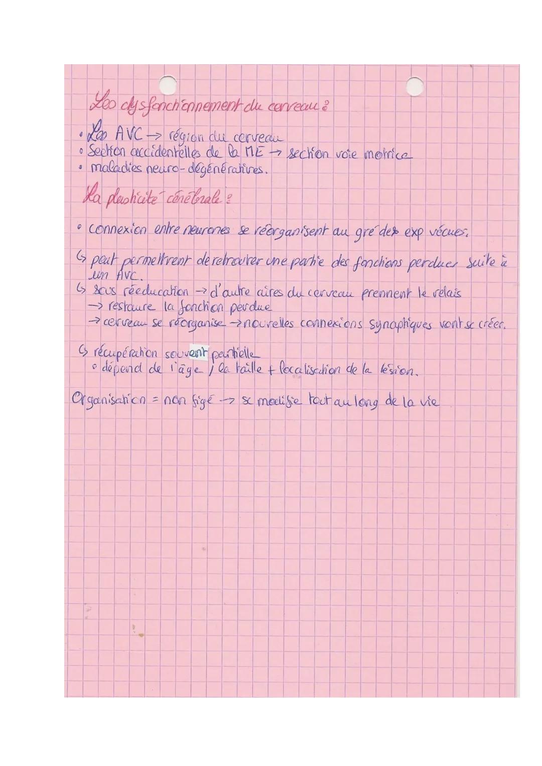 Thème B-A

SVT

Xe Cerveau

Mouvement volontaires nécessite l'intervention du cerveau.

Composition:

- Rémisphères surface avee circonvolut