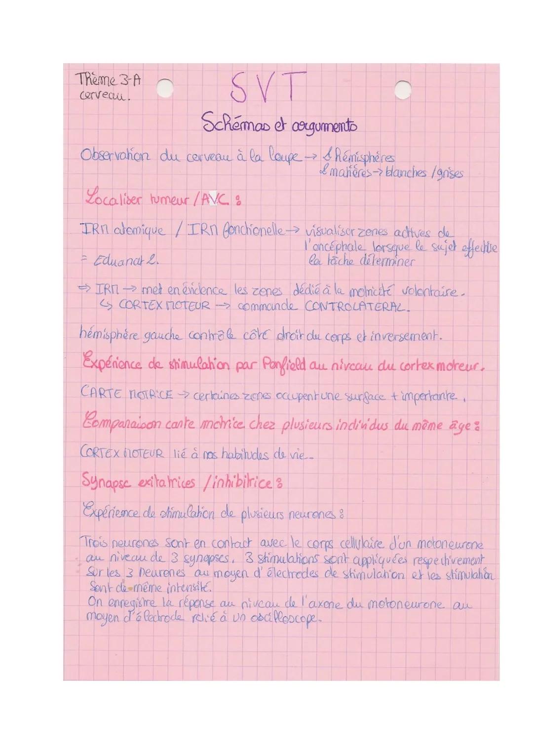 Thème B-A

SVT

Xe Cerveau

Mouvement volontaires nécessite l'intervention du cerveau.

Composition:

- Rémisphères surface avee circonvolut