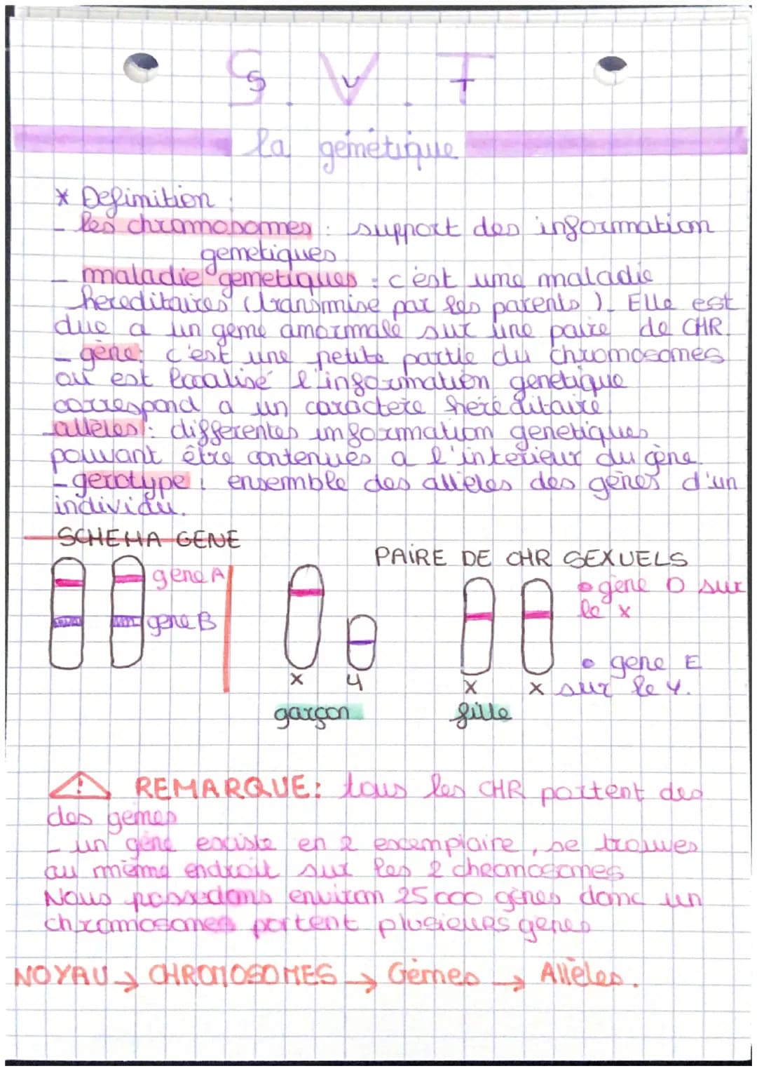 * Definition
les chramonommen: support des information
gemetiques
a
in
maladie gemetiques - c'est une maladie
hereditaires transmise par les