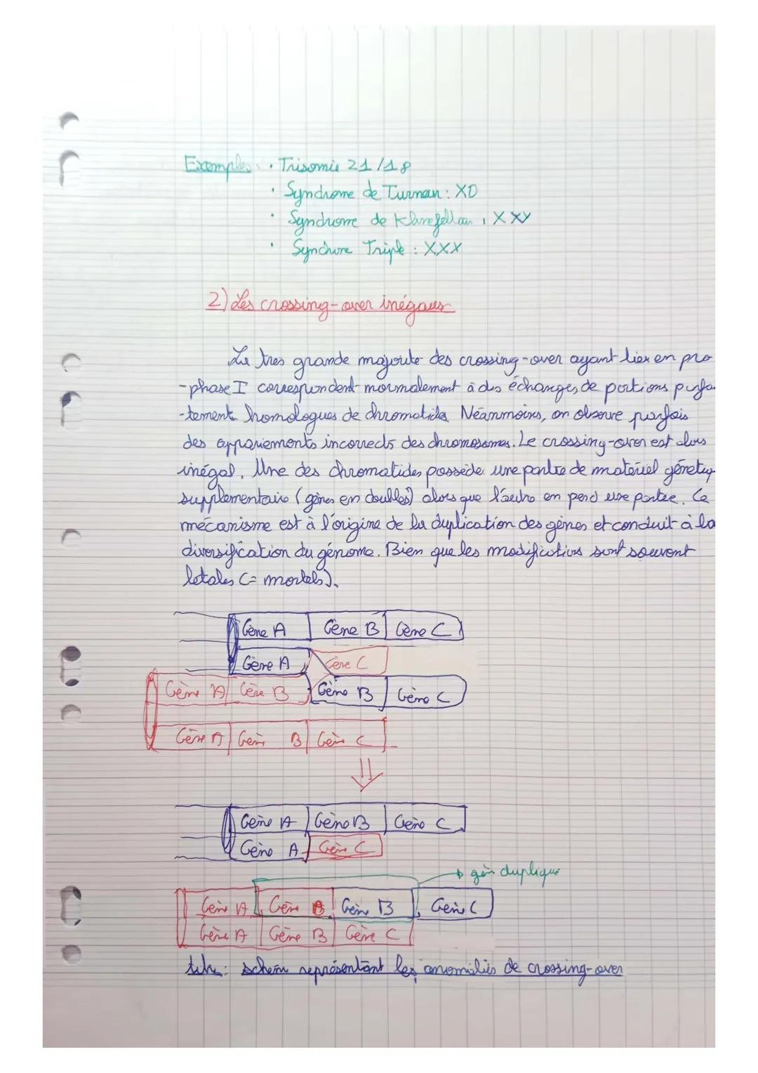 Thom 1 A
Genetique et évolution

L'origine du génotype des indindus

Chapitre 2: Le brassage des génormes à chaque generations:
La reproduct